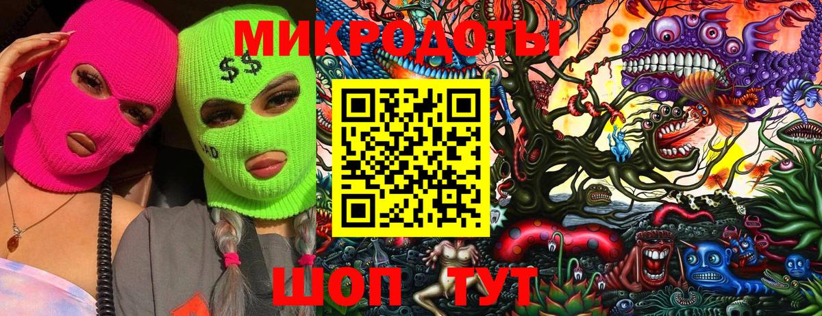 Галлюциногенные грибы Psilocybine cubensis Уссурийск